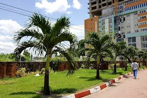 African Dream Hotel photo