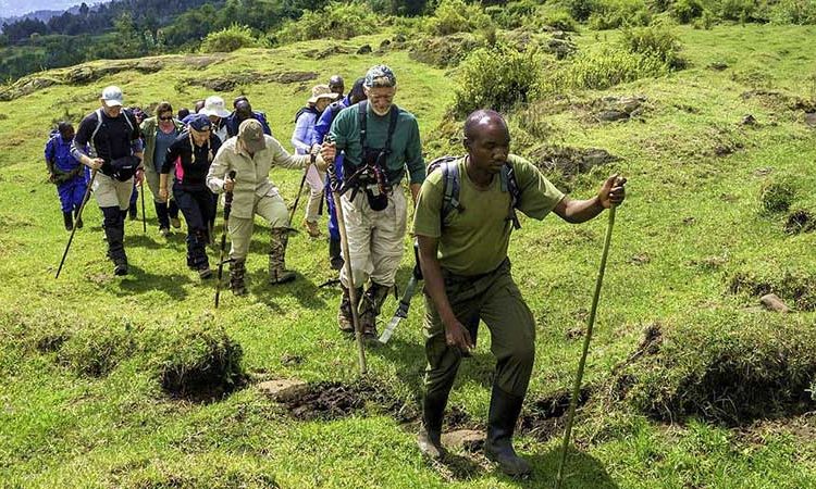 Hiking Mount Nyiragongo photo