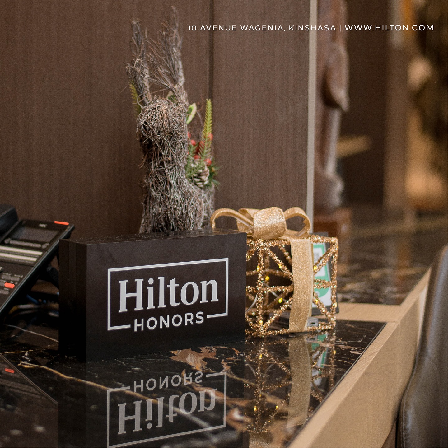 Hilton Kinshasa photo