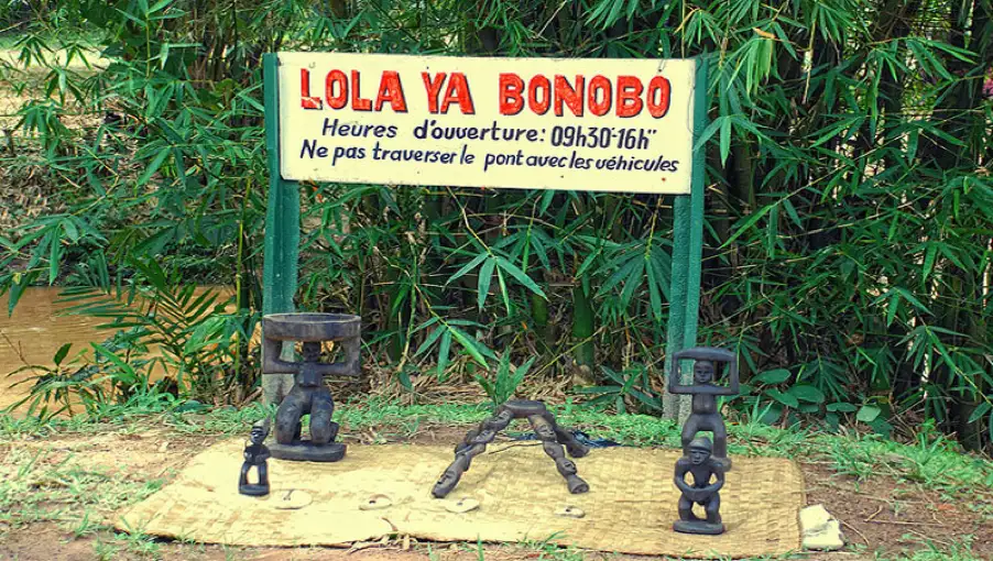 Lola ya Bonobo photo