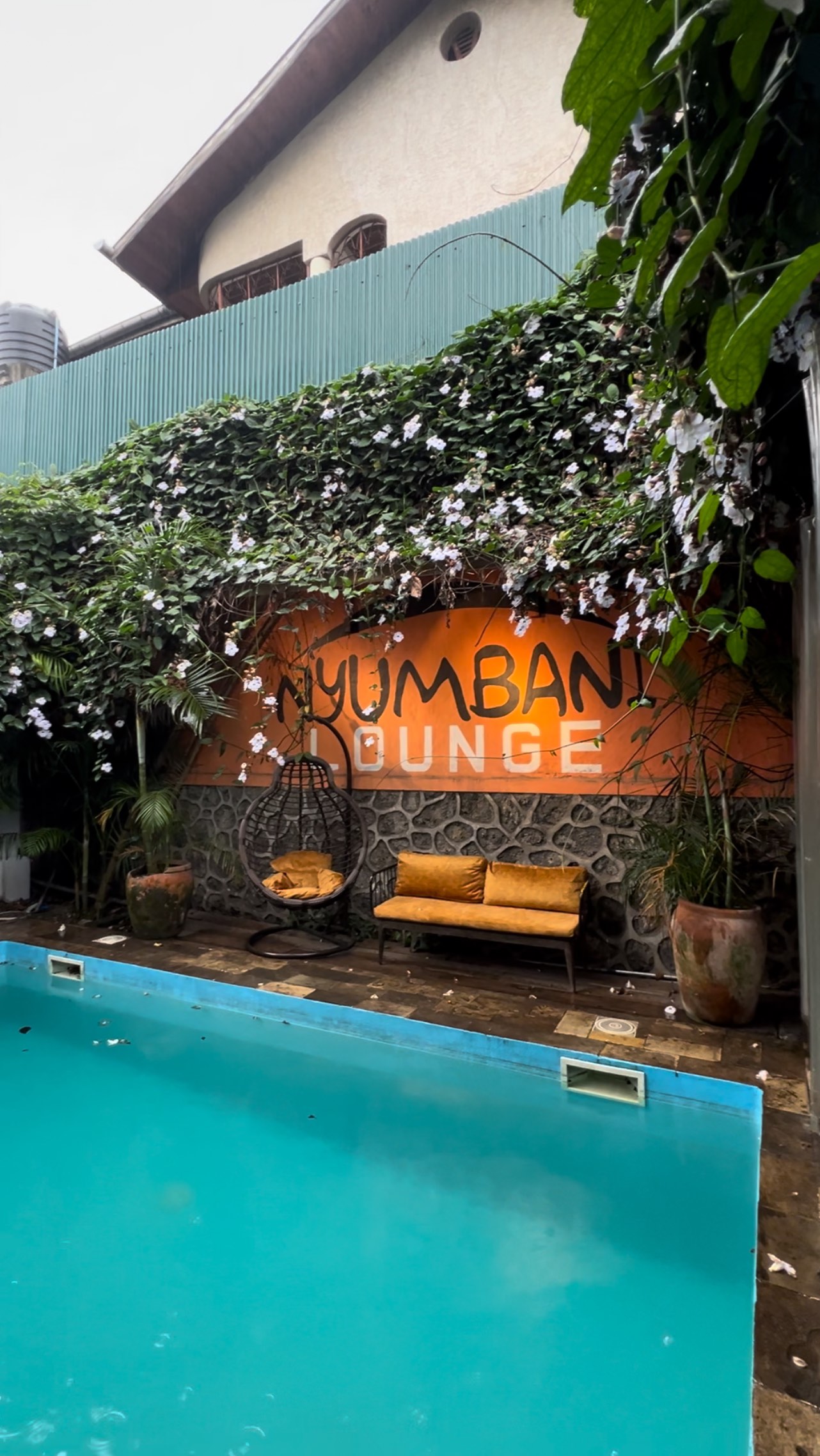 Mambo Lounge Restaurant photo
