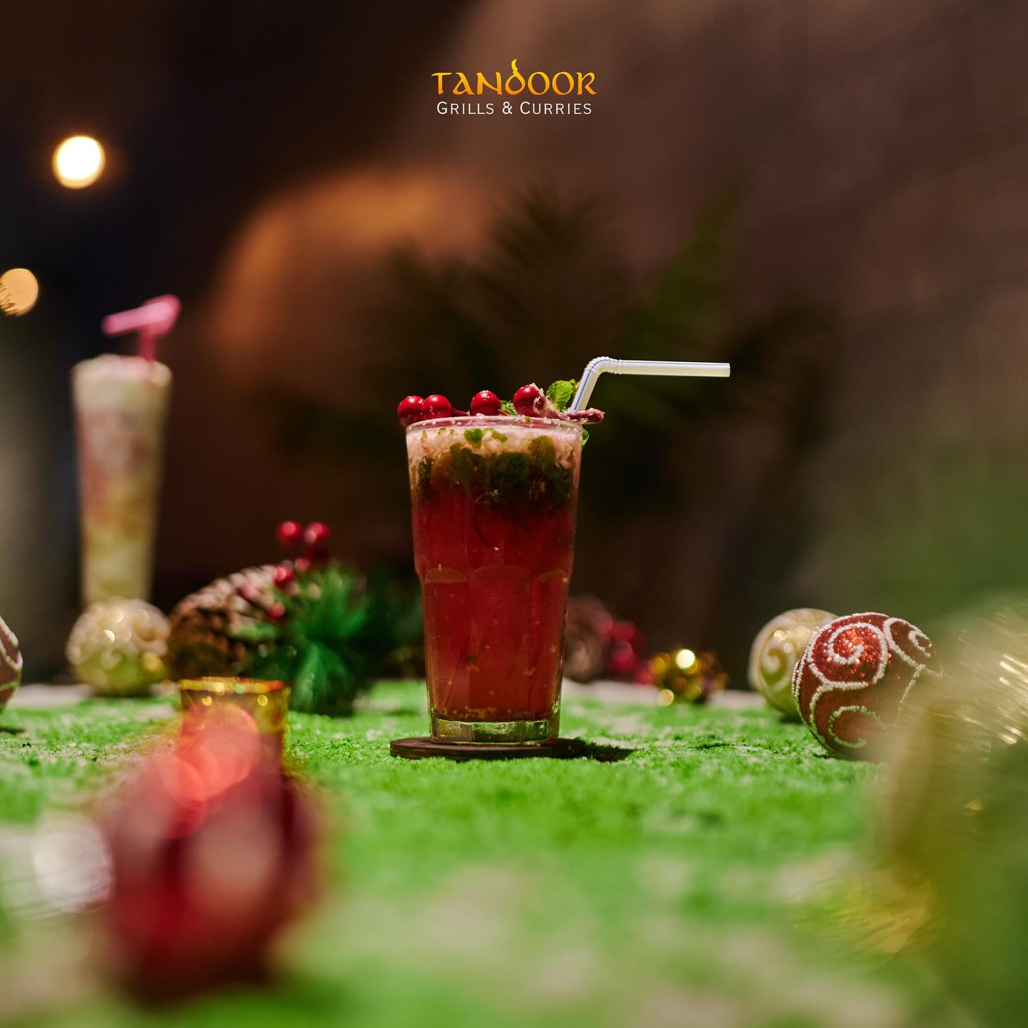 Tandoor Grills & Curries photo 3
