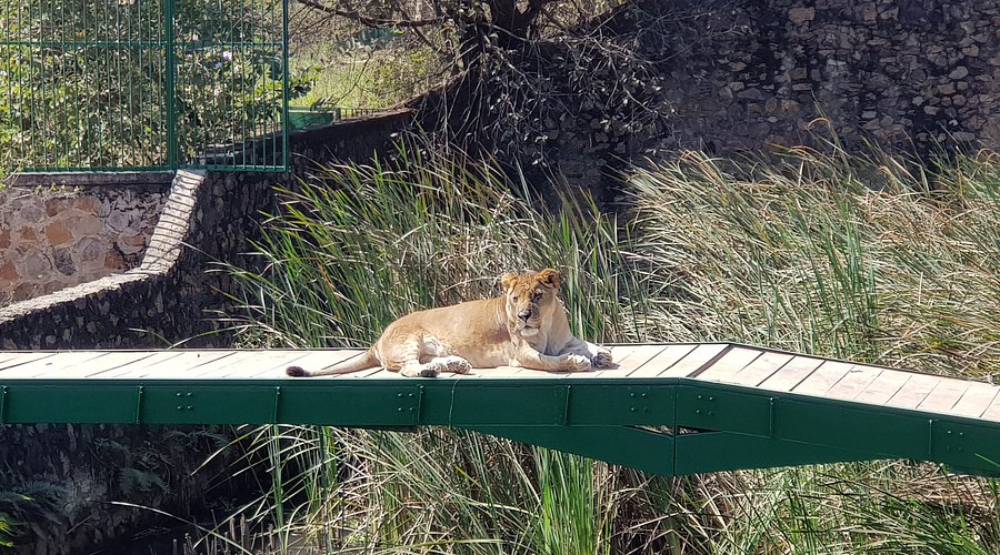 The Zoo Lubumbashi photo