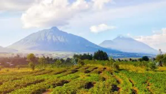 Virunga National Park photo